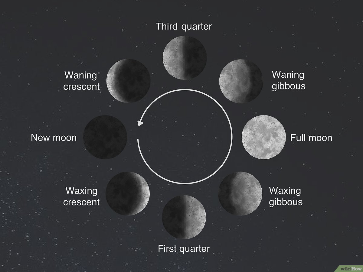 Che cosa significa luna gibbosa