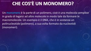 Chi sono i monomeri e i polimeri