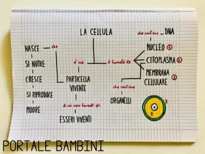 Cose la cellula scuola primaria