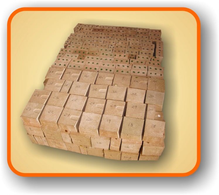 Quali mattoni usare per forno a legna