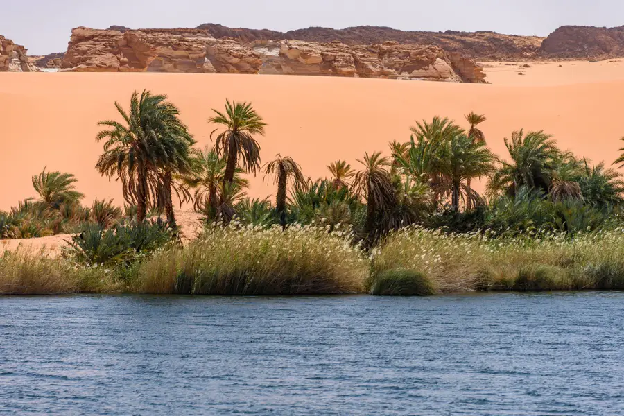 Quali sono le principali oasi del sahara