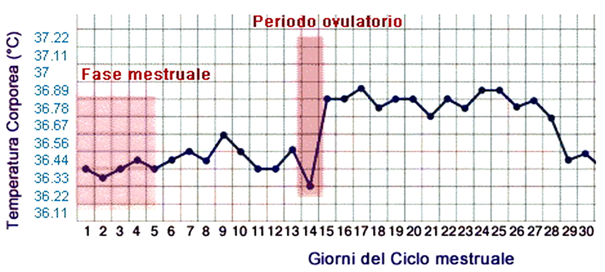 Temperatura basale quanti giorni prima del ciclo si abbassa
